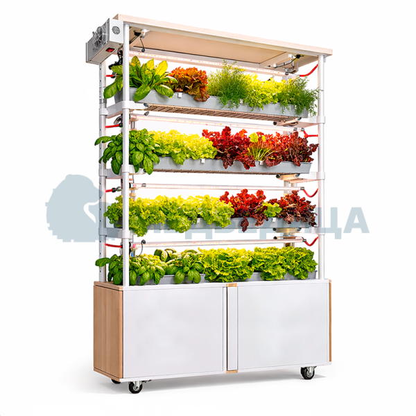 Комплект лабораторного оборудования «Типы почв и рост растений 2.0»